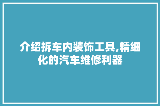 介绍拆车内装饰工具,精细化的汽车维修利器 现代风格装饰