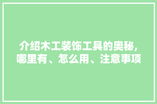 介绍木工装饰工具的奥秘,哪里有、怎么用、注意事项 现代风格装饰
