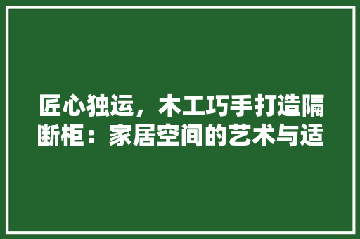 匠心独运，木工巧手打造隔断柜：家居空间的艺术与适用并存