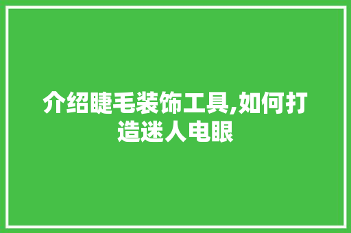 介绍睫毛装饰工具,如何打造迷人电眼 家居装修