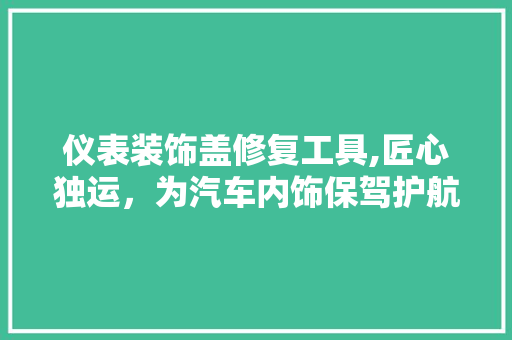 仪表装饰盖修复工具,匠心独运，为汽车内饰保驾护航 木雕艺术
