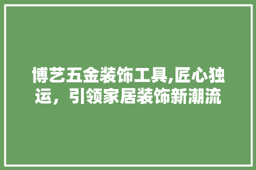 博艺五金装饰工具,匠心独运，引领家居装饰新潮流 地板材料