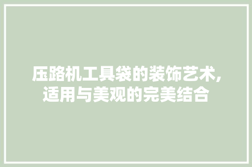 压路机工具袋的装饰艺术,适用与美观的完美结合 客厅装修