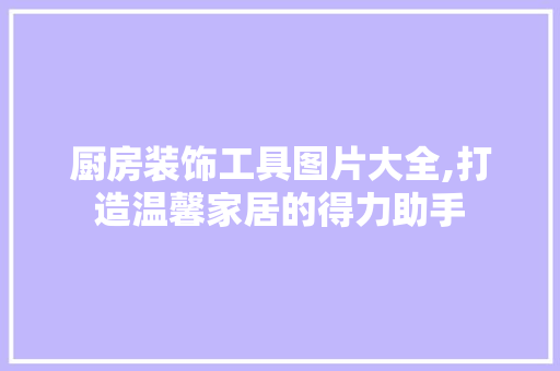 厨房装饰工具图片大全,打造温馨家居的得力助手 家居装修