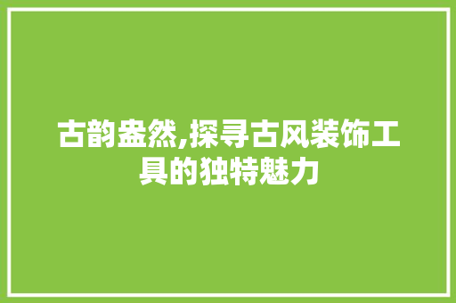 古韵盎然,探寻古风装饰工具的独特魅力 现代风格装饰