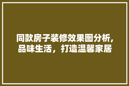 同款房子装修效果图分析,品味生活，打造温馨家居 室内设计