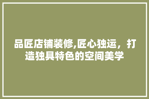 品匠店铺装修,匠心独运，打造独具特色的空间美学 现代风格装饰