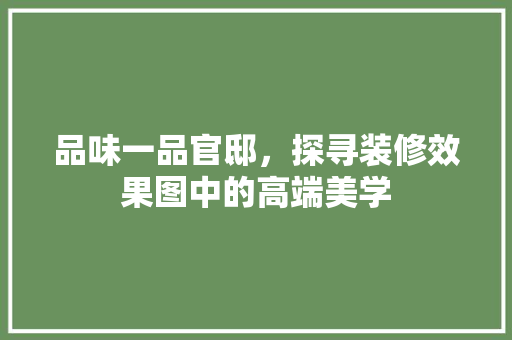 品味一品官邸，探寻装修效果图中的高端美学 木雕艺术