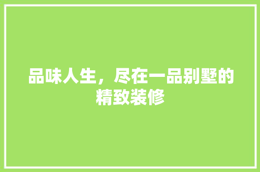 品味人生，尽在一品别墅的精致装修 现代风格装饰