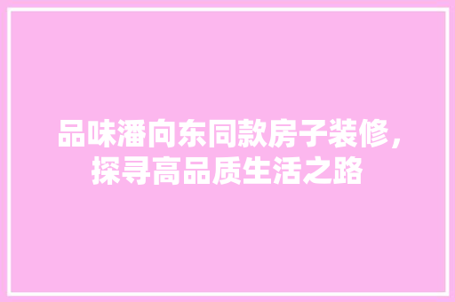 品味潘向东同款房子装修，探寻高品质生活之路 室内设计