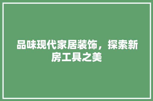 品味现代家居装饰，探索新房工具之美 现代风格装饰