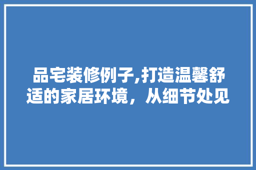 品宅装修例子,打造温馨舒适的家居环境，从细节处见真章 软装设计