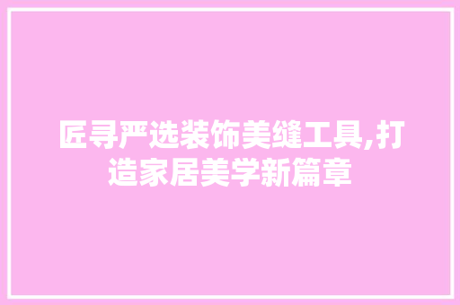 匠寻严选装饰美缝工具,打造家居美学新篇章 室内设计