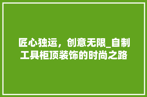 匠心独运，创意无限_自制工具柜顶装饰的时尚之路 室内设计