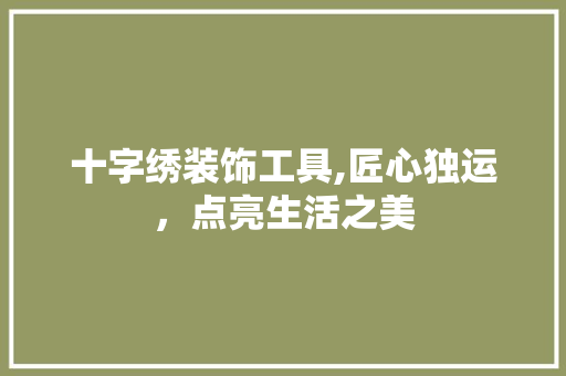 十字绣装饰工具,匠心独运，点亮生活之美 现代风格装饰