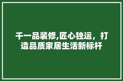 千一品装修,匠心独运，打造品质家居生活新标杆 室内设计
