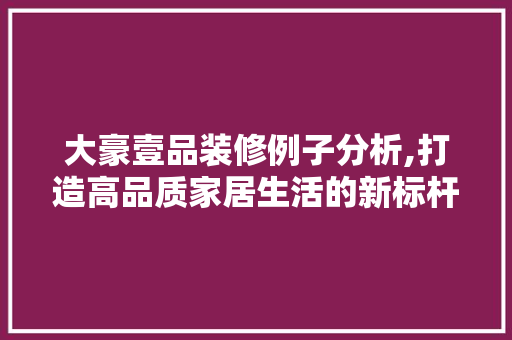 大豪壹品装修例子分析,打造高品质家居生活的新标杆