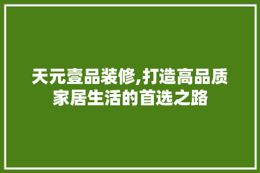 天元壹品装修,打造高品质家居生活的首选之路