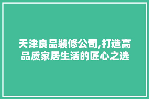 天津良品装修公司,打造高品质家居生活的匠心之选 现代风格装饰