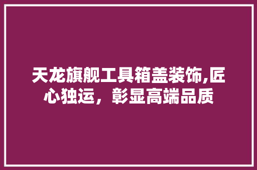 天龙旗舰工具箱盖装饰,匠心独运，彰显高端品质 木雕艺术