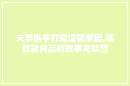 夫妻携手打造温馨家园,装修款背后的故事与智慧 卧室装修