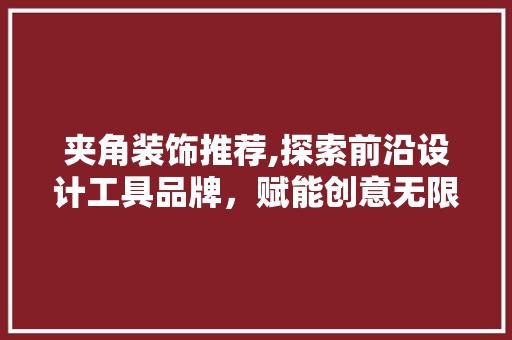 夹角装饰推荐,探索前沿设计工具品牌，赋能创意无限 软装设计