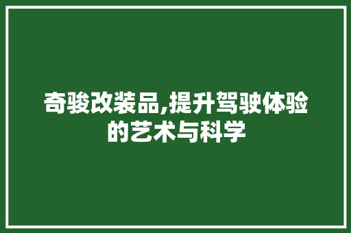 奇骏改装品,提升驾驶体验的艺术与科学 木雕艺术