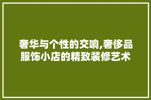 奢华与个性的交响,奢侈品服饰小店的精致装修艺术 室内设计