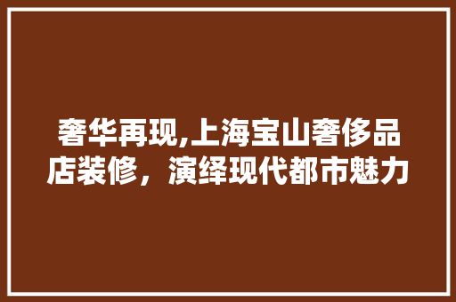 奢华再现,上海宝山奢侈品店装修，演绎现代都市魅力 室内设计