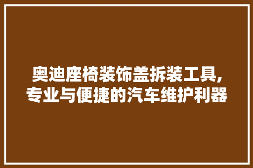 奥迪座椅装饰盖拆装工具,专业与便捷的汽车维护利器