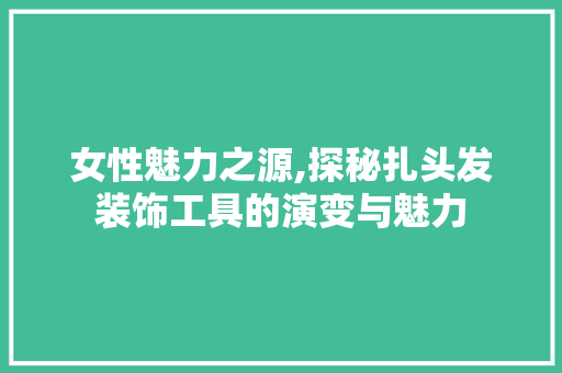 女性魅力之源,探秘扎头发装饰工具的演变与魅力