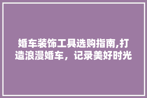 婚车装饰工具选购指南,打造浪漫婚车，记录美好时光 地板材料