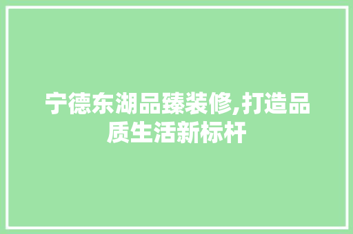 宁德东湖品臻装修,打造品质生活新标杆