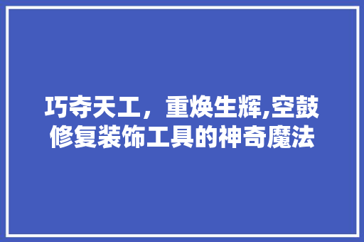 巧夺天工，重焕生辉,空鼓修复装饰工具的神奇魔法 家居装修