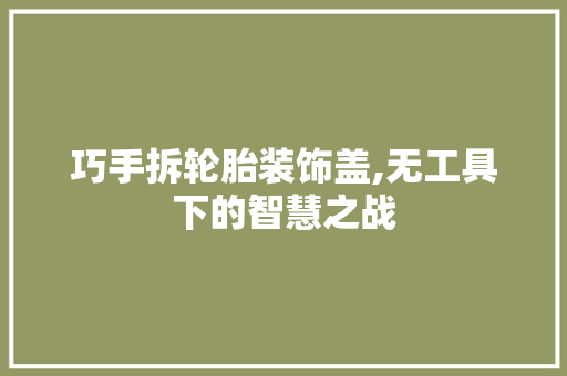 巧手拆轮胎装饰盖,无工具下的智慧之战 木雕艺术