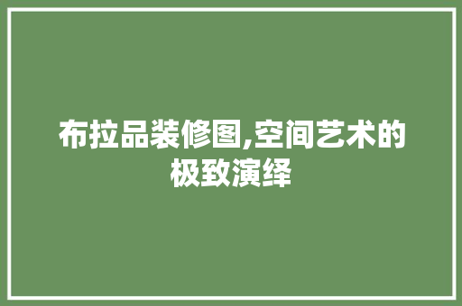 布拉品装修图,空间艺术的极致演绎 现代风格装饰