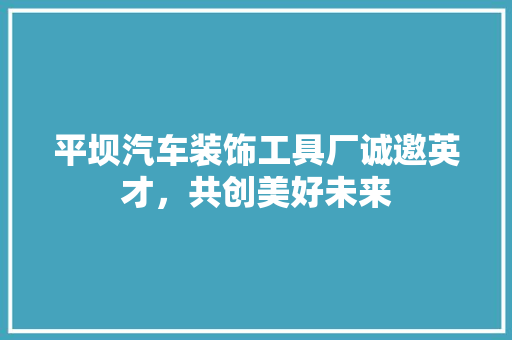 平坝汽车装饰工具厂诚邀英才，共创美好未来 木雕艺术