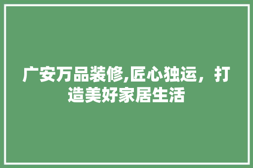 广安万品装修,匠心独运，打造美好家居生活 客厅装修