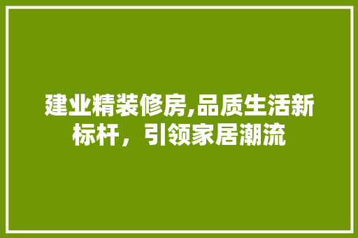 建业精装修房,品质生活新标杆，引领家居潮流