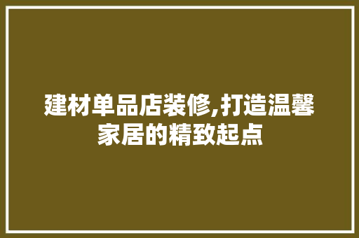 建材单品店装修,打造温馨家居的精致起点 软装设计