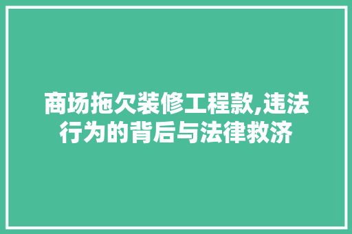 商场拖欠装修工程款,违法行为的背后与法律救济 客厅装修