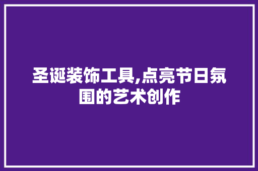圣诞装饰工具,点亮节日氛围的艺术创作