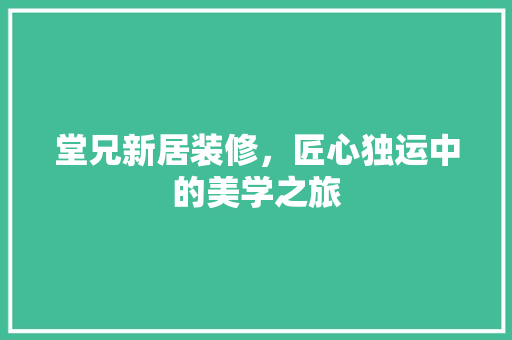 堂兄新居装修，匠心独运中的美学之旅 现代风格装饰