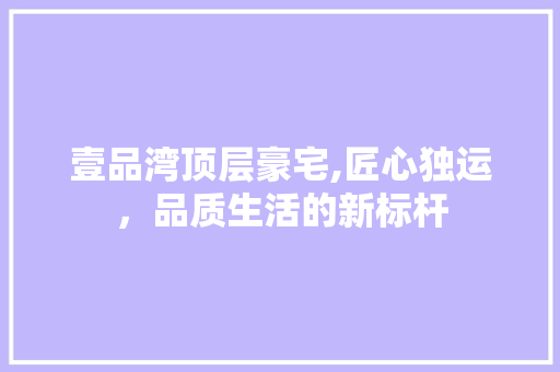 壹品湾顶层豪宅,匠心独运，品质生活的新标杆 现代风格装饰