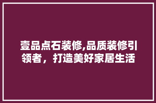 壹品点石装修,品质装修引领者，打造美好家居生活 室内设计