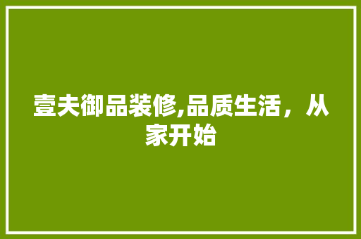 壹夫御品装修,品质生活，从家开始 客厅装修