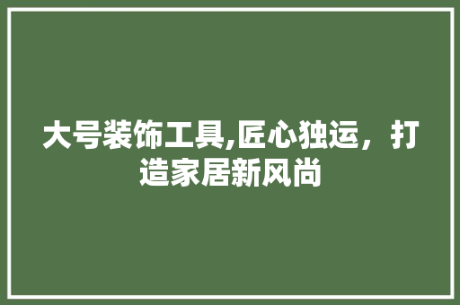 大号装饰工具,匠心独运，打造家居新风尚