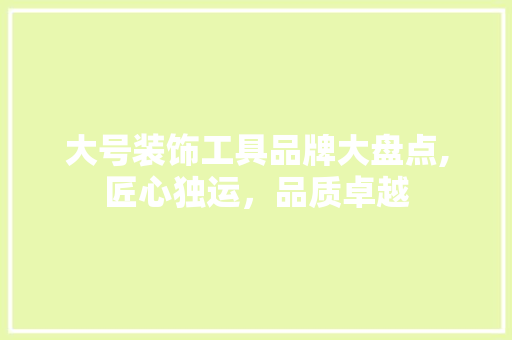 大号装饰工具品牌大盘点,匠心独运，品质卓越