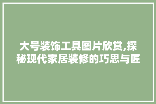 大号装饰工具图片欣赏,探秘现代家居装修的巧思与匠心
