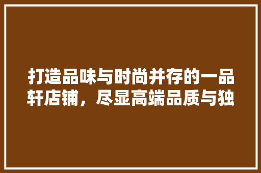 打造品味与时尚并存的一品轩店铺，尽显高端品质与独特魅力 现代风格装饰